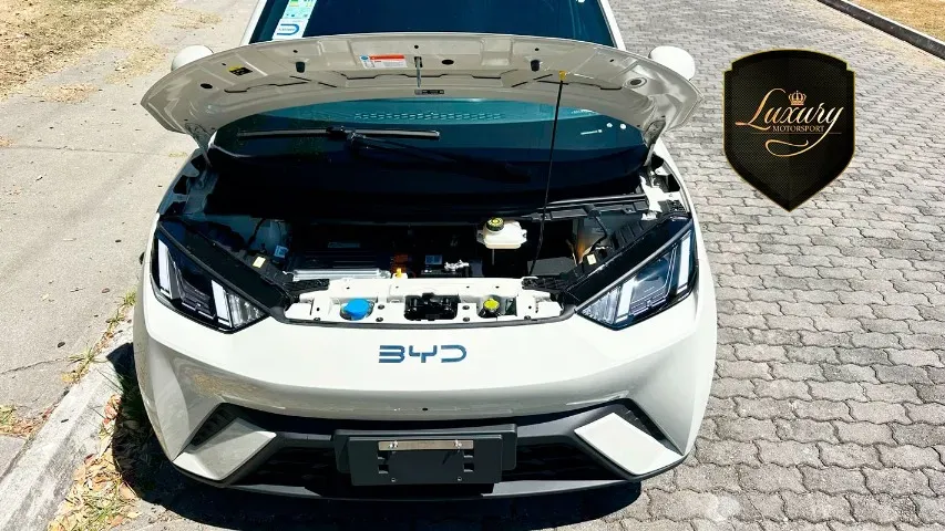 BYD Dolphin Mini - Miniatura 16