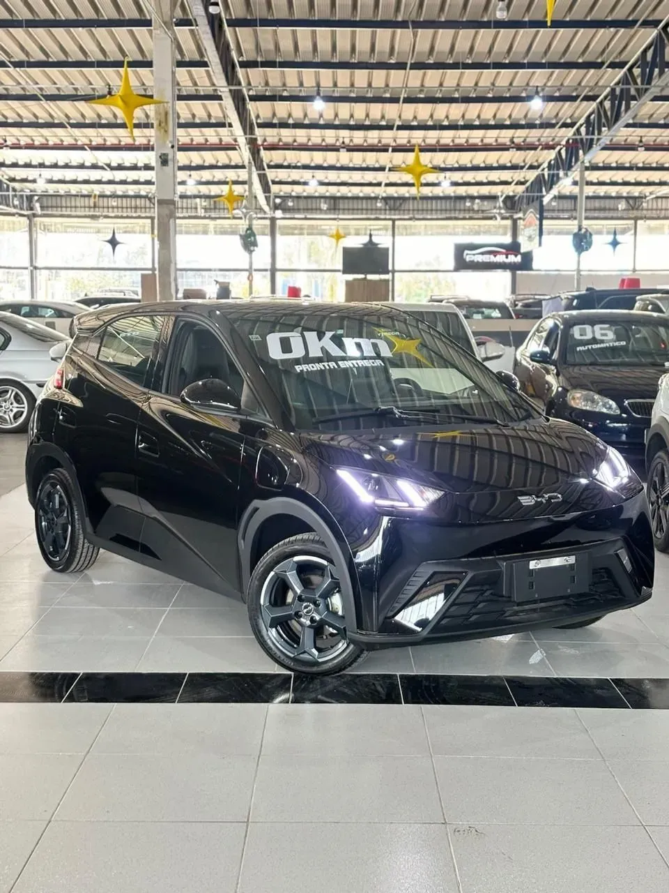 Foto de um byd dolphin mini