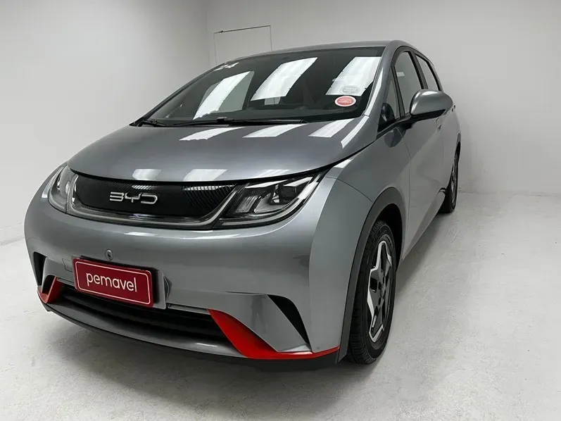 Foto de um byd dolphin