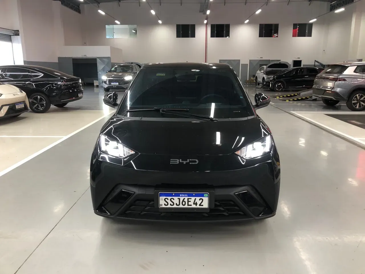 BYD Dolphin Mini