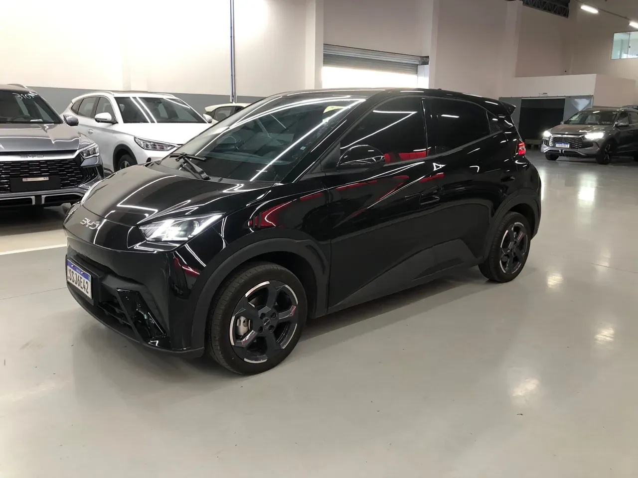 BYD Dolphin Mini - Miniatura 2