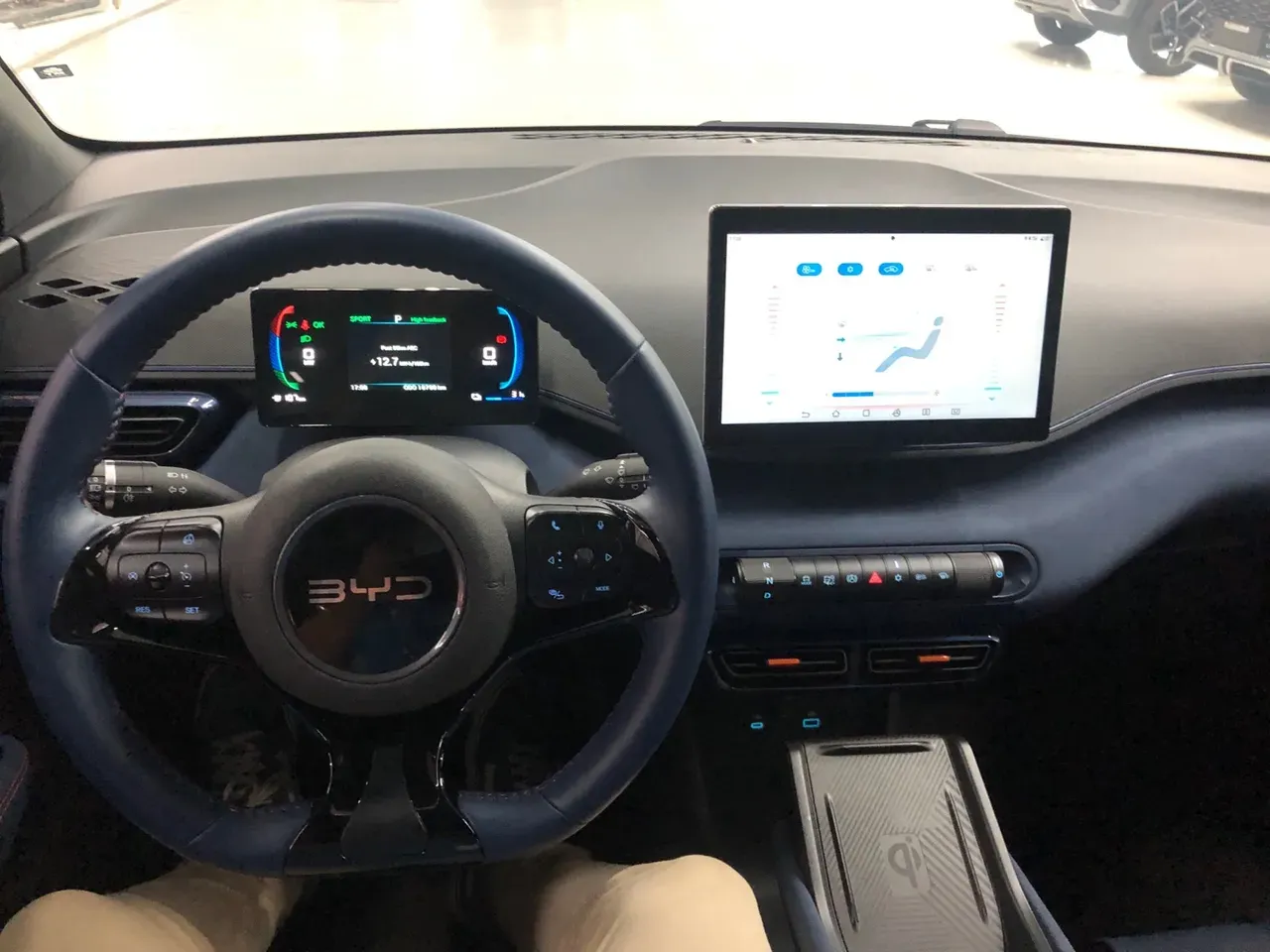 BYD Dolphin Mini - Miniatura 10
