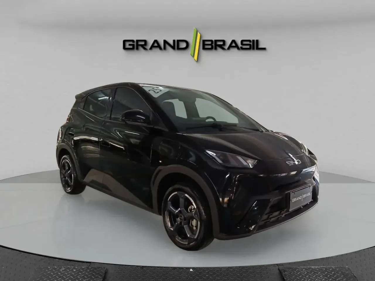 Foto de um byd dolphin mini