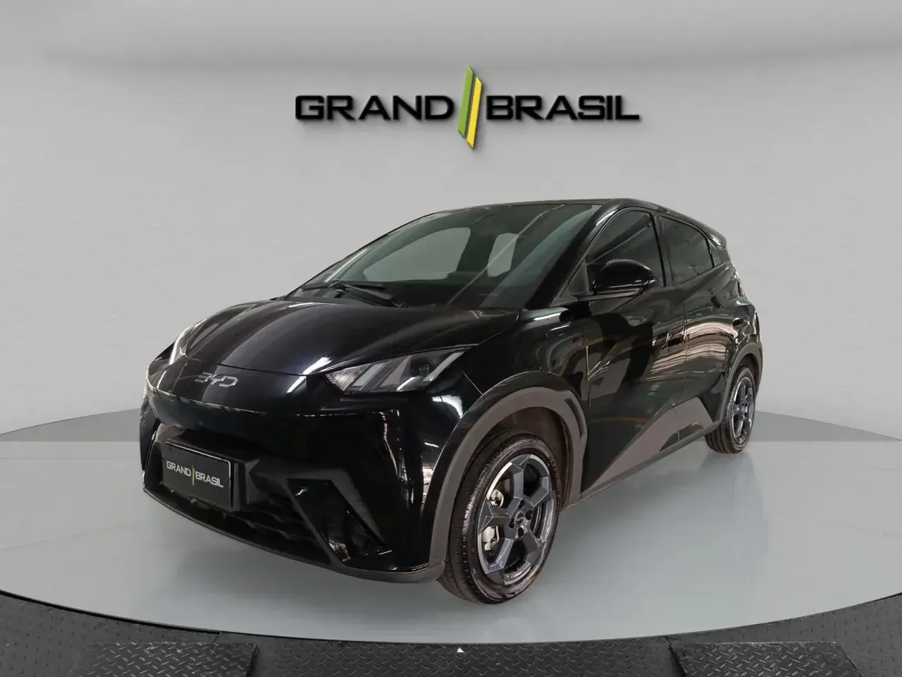 BYD Dolphin Mini - Miniatura 7