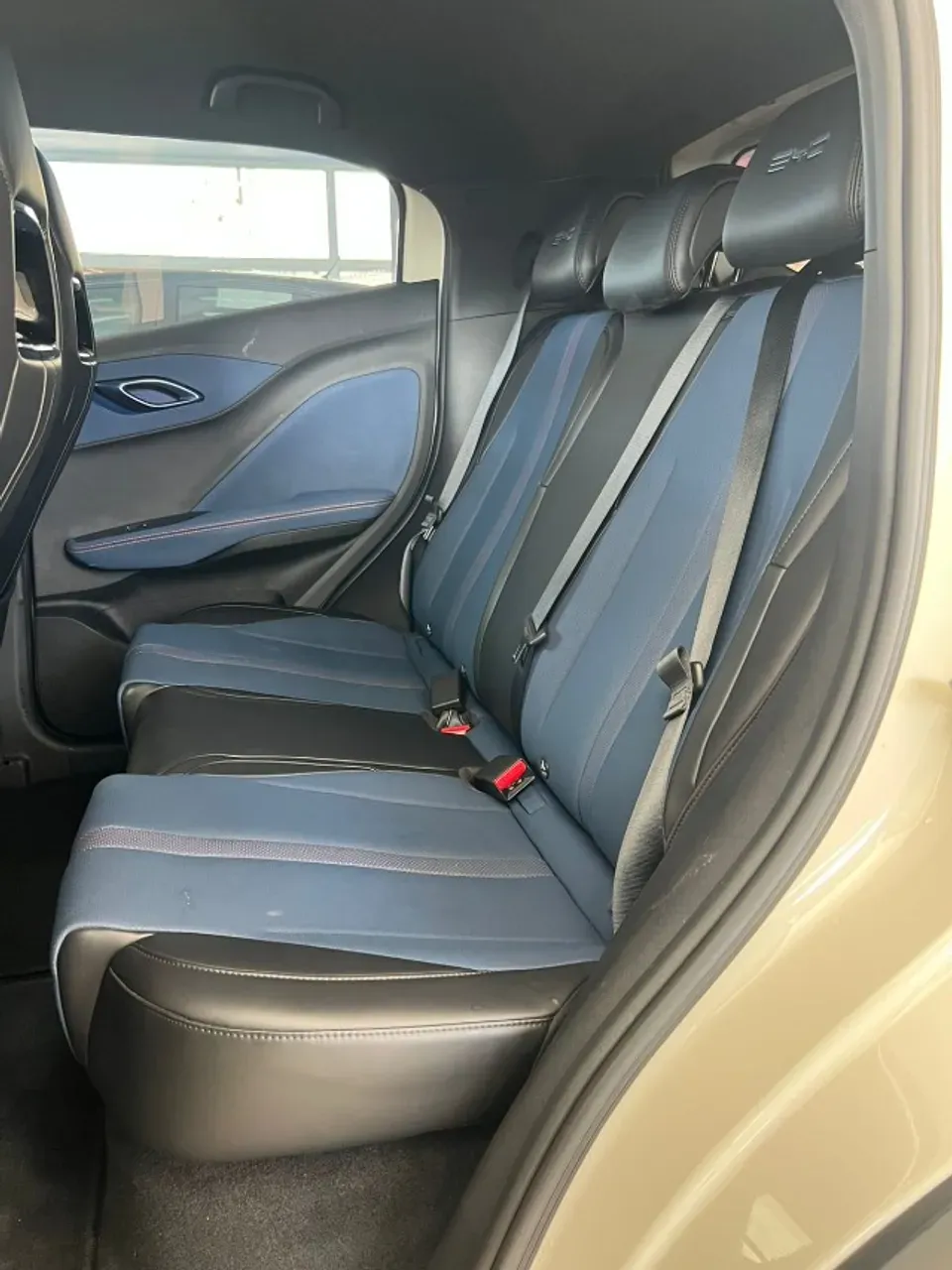 BYD Dolphin Mini - Miniatura 12
