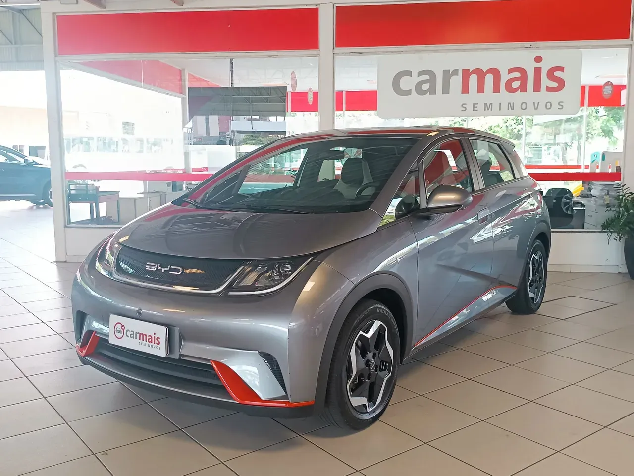 Foto de um byd dolphin