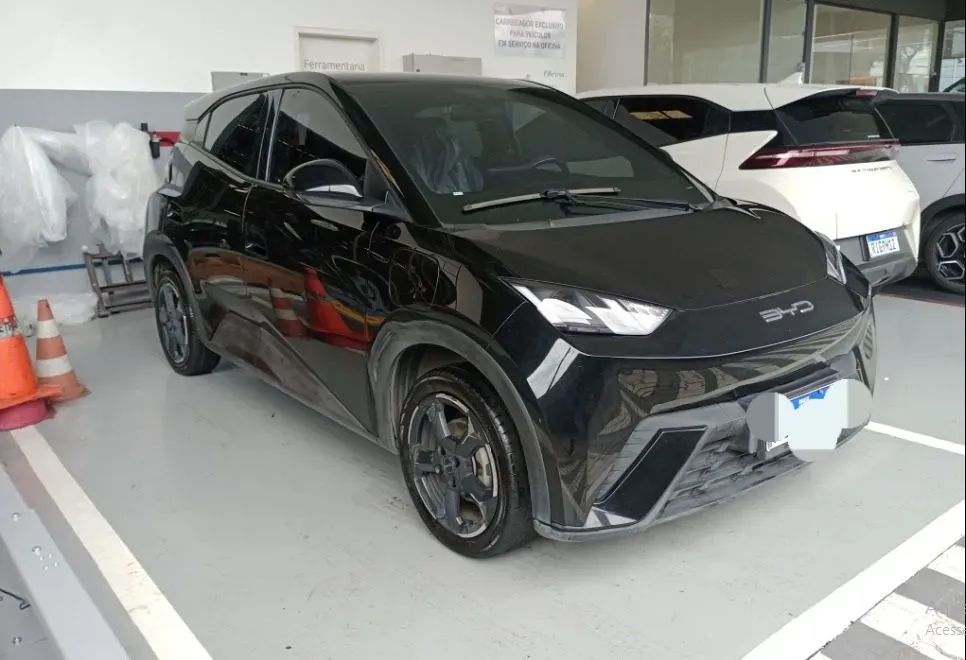 BYD Dolphin Mini - Miniatura 7