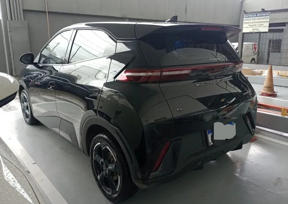 BYD Dolphin Mini - Miniatura 8
