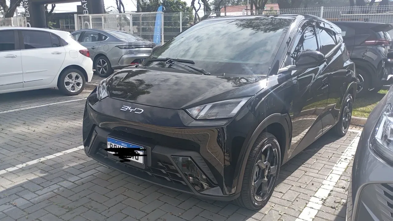 BYD Dolphin