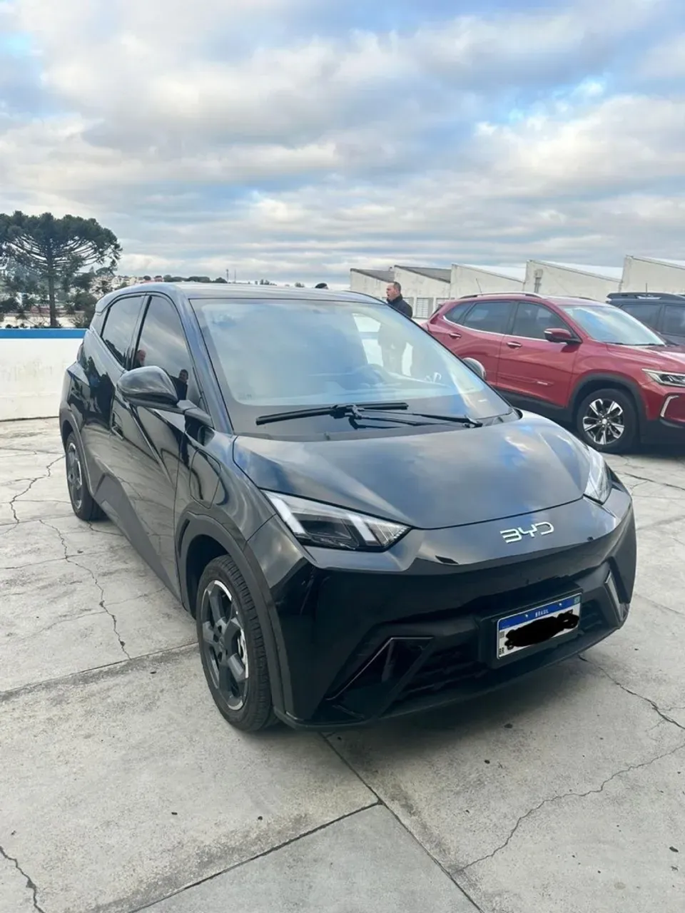 BYD Dolphin Mini