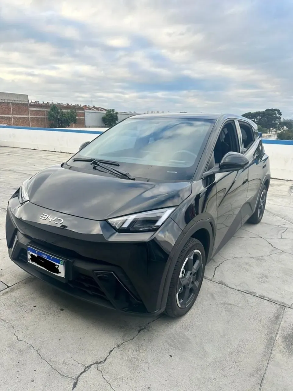 BYD Dolphin Mini - Miniatura 2