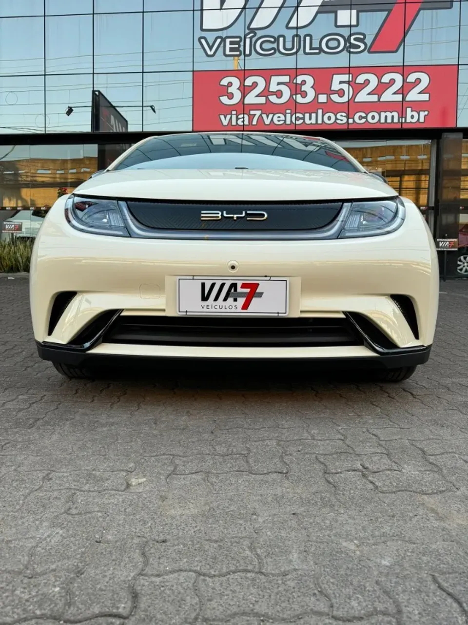 BYD Dolphin - Miniatura 2