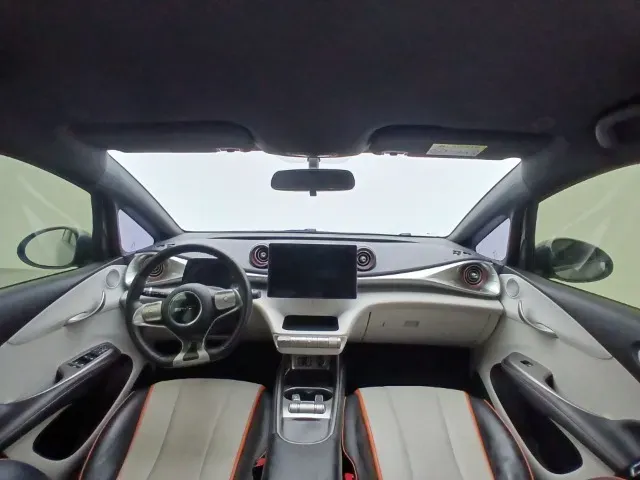 BYD Dolphin - Miniatura 13