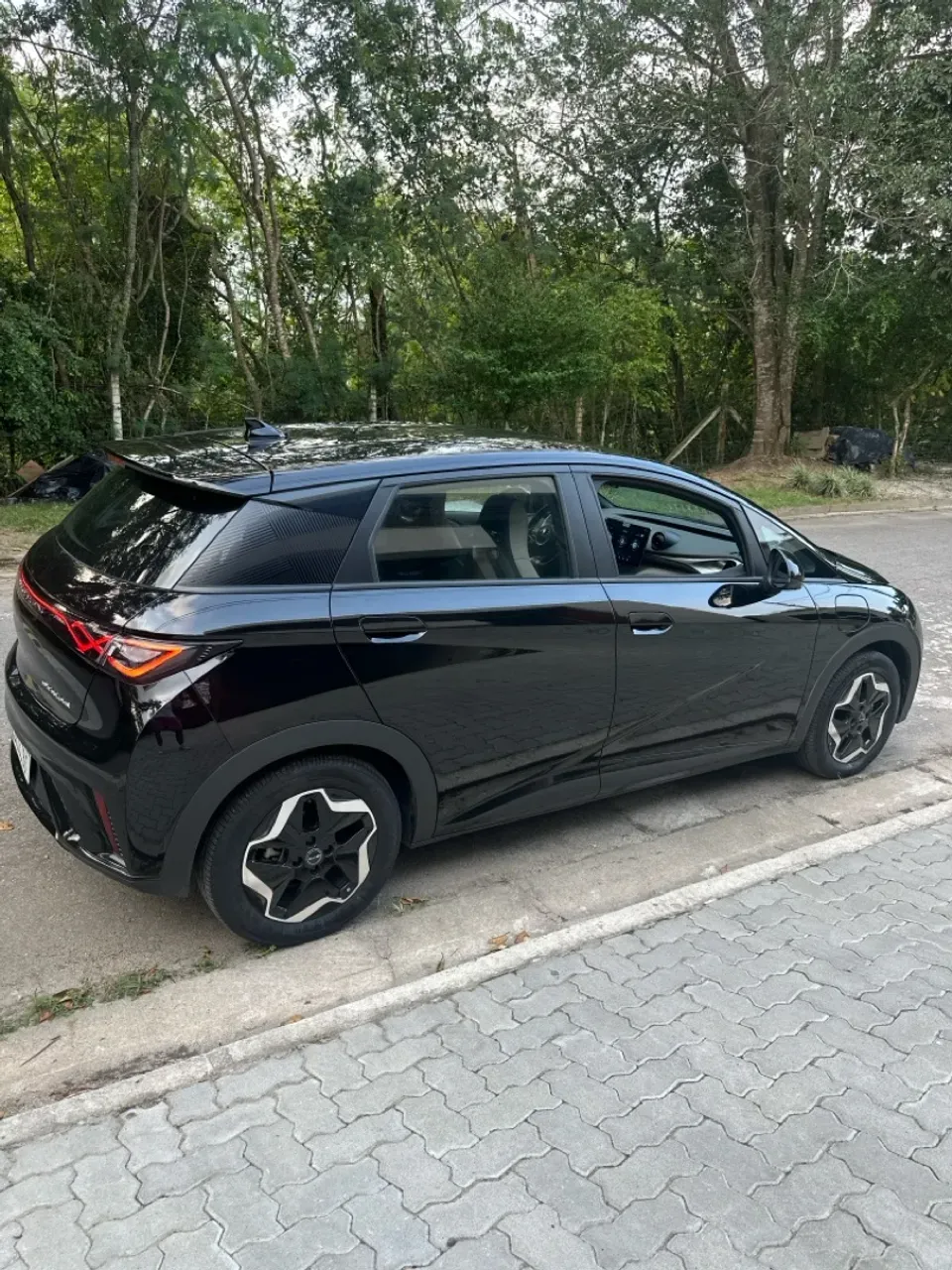 BYD Dolphin - Miniatura 2