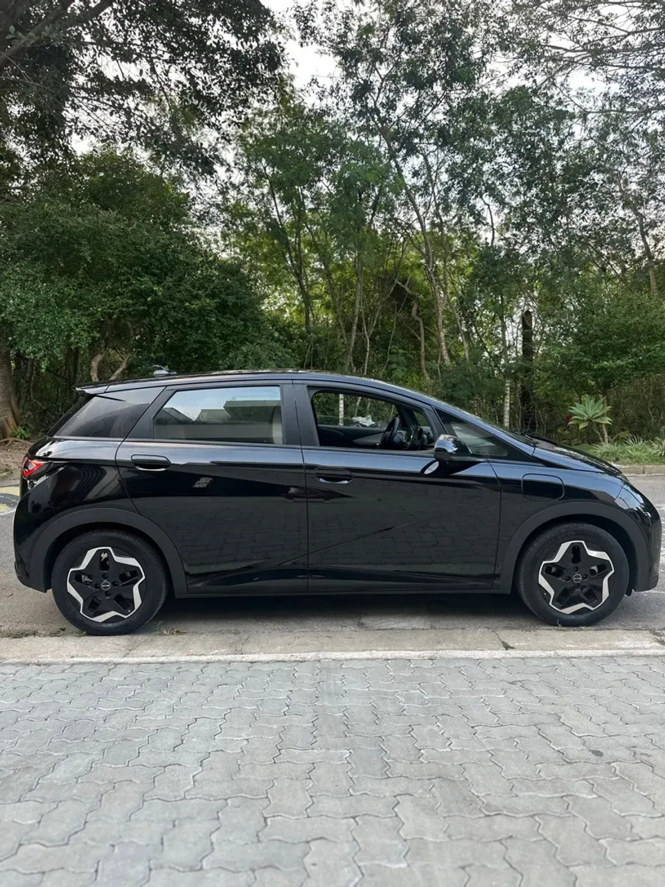 BYD Dolphin - Miniatura 3
