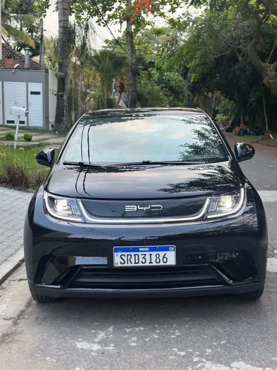 BYD Dolphin - Miniatura 4