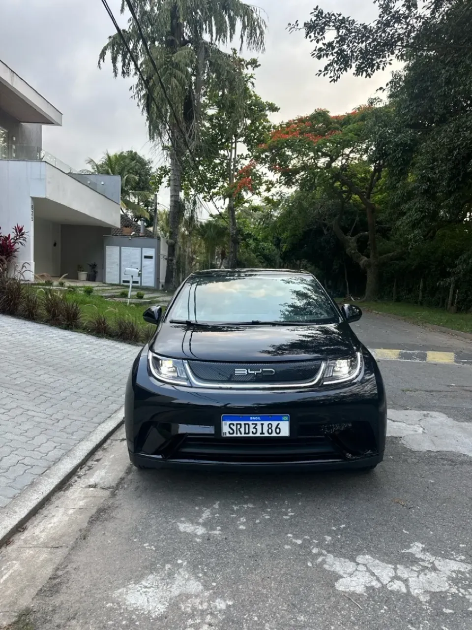 BYD Dolphin - Miniatura 5