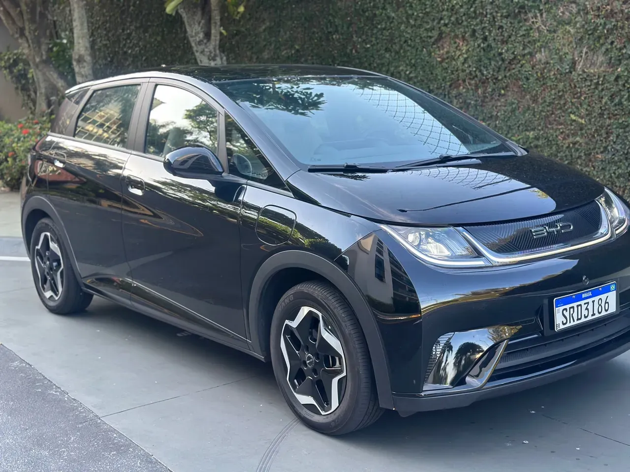 BYD Dolphin - Miniatura 16