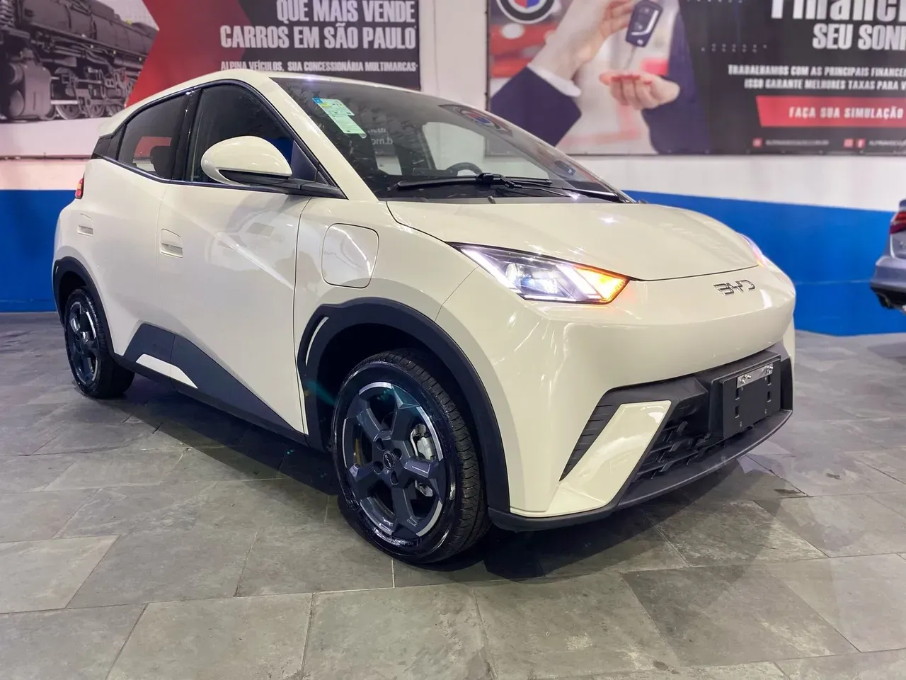 Foto de um byd dolphin mini