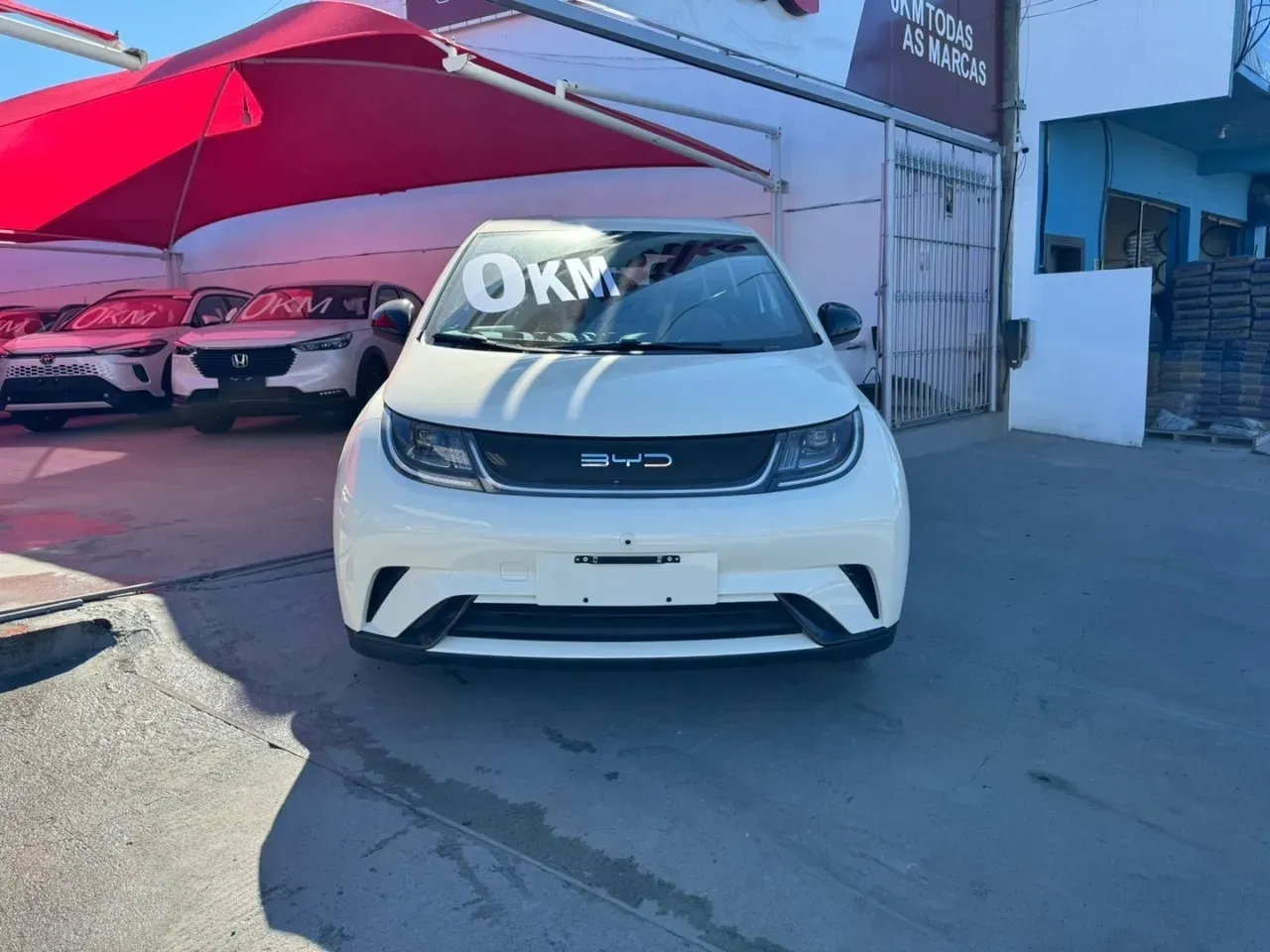 BYD Dolphin - Miniatura 2