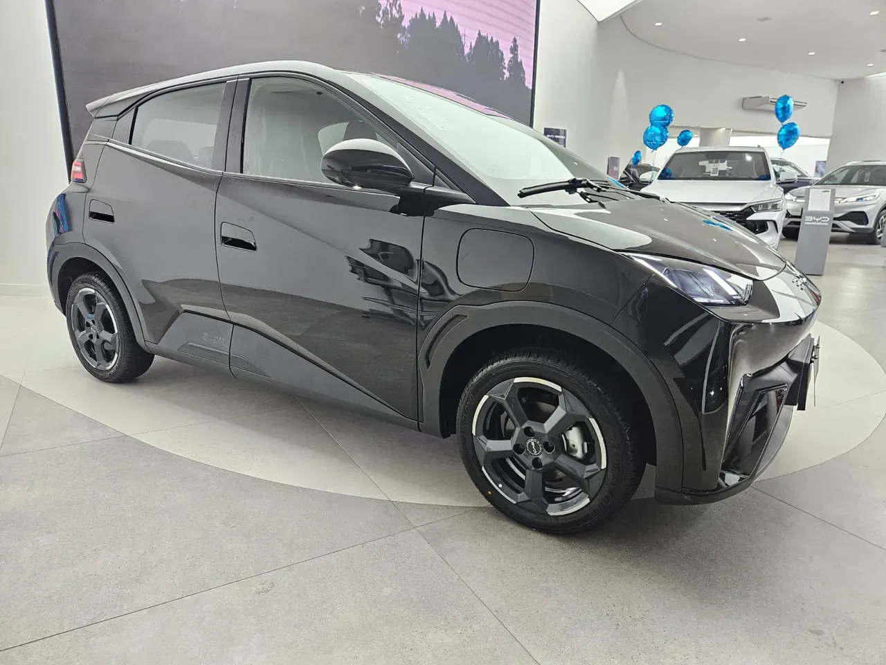 BYD Dolphin Mini - Imagem 3