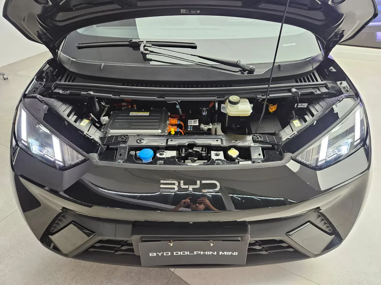 BYD Dolphin Mini - Imagem 11