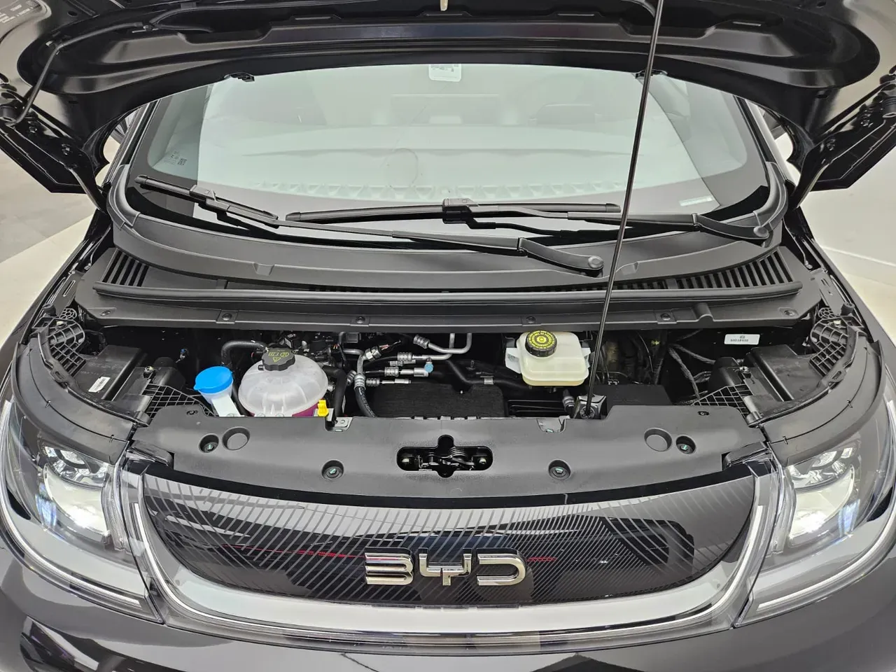 BYD Dolphin - Imagem 6