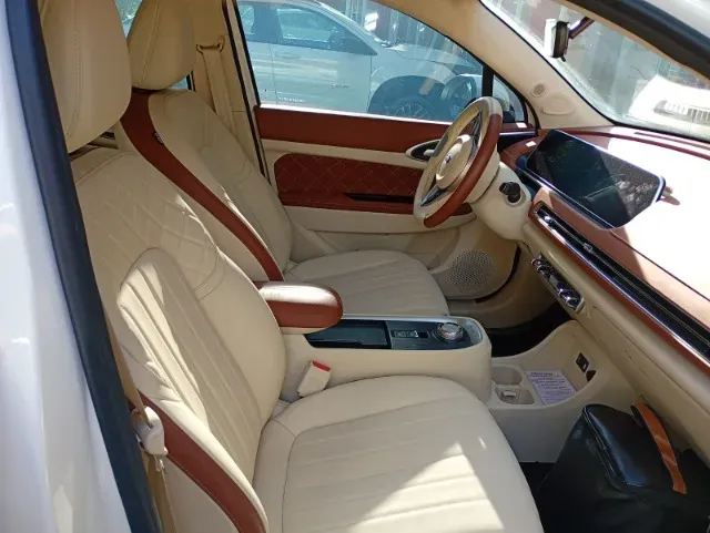 GWM Ora 03 - Imagem 6