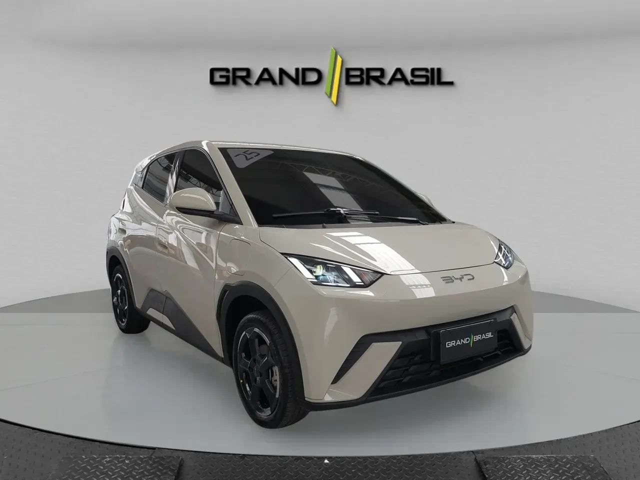 BYD Dolphin Mini