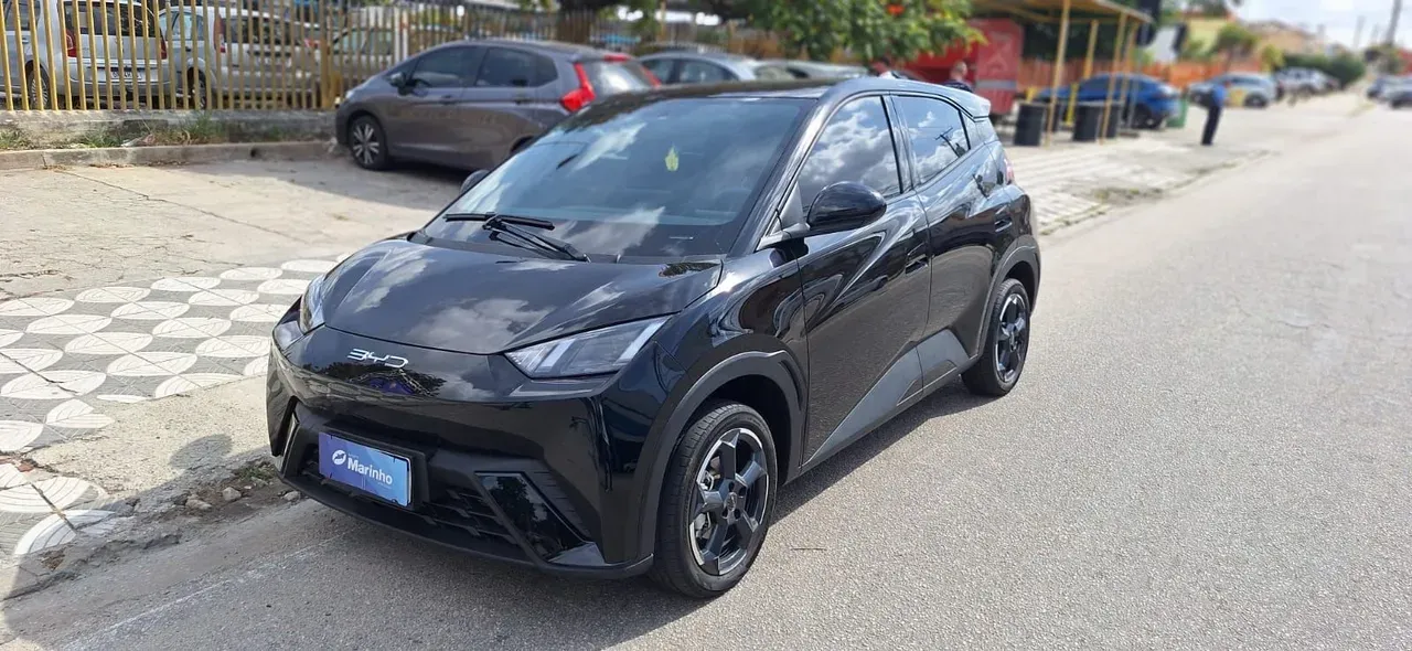 BYD Dolphin Mini