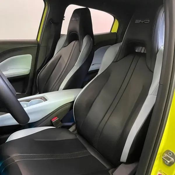 BYD Dolphin - Imagem 9