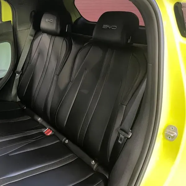 BYD Dolphin - Imagem 10