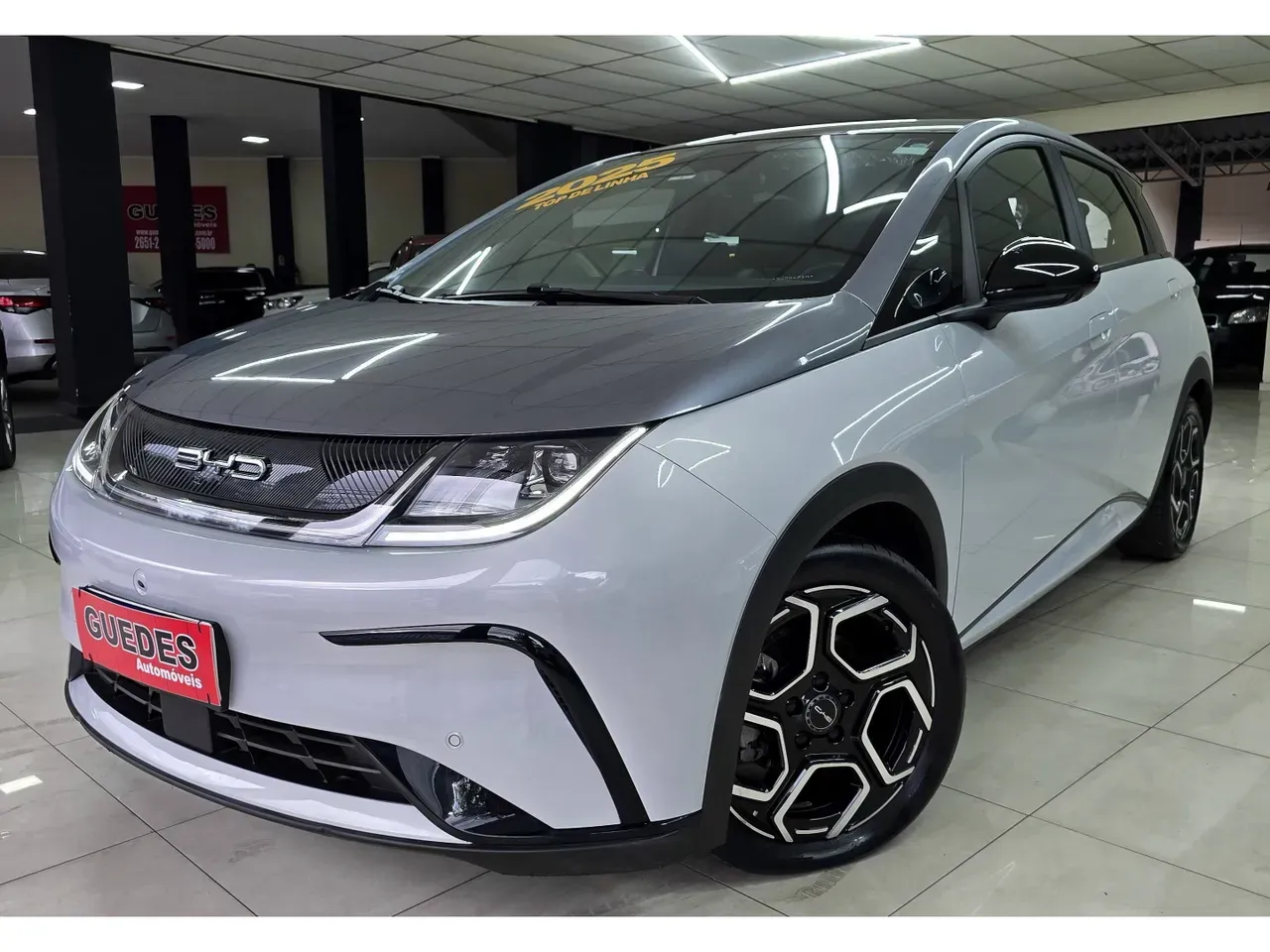 BYD Dolphin Plus - Imagem 3