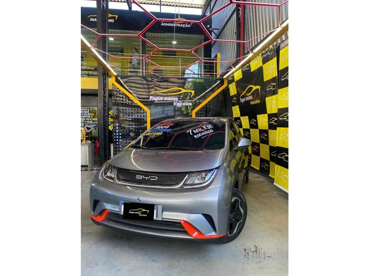 BYD Dolphin