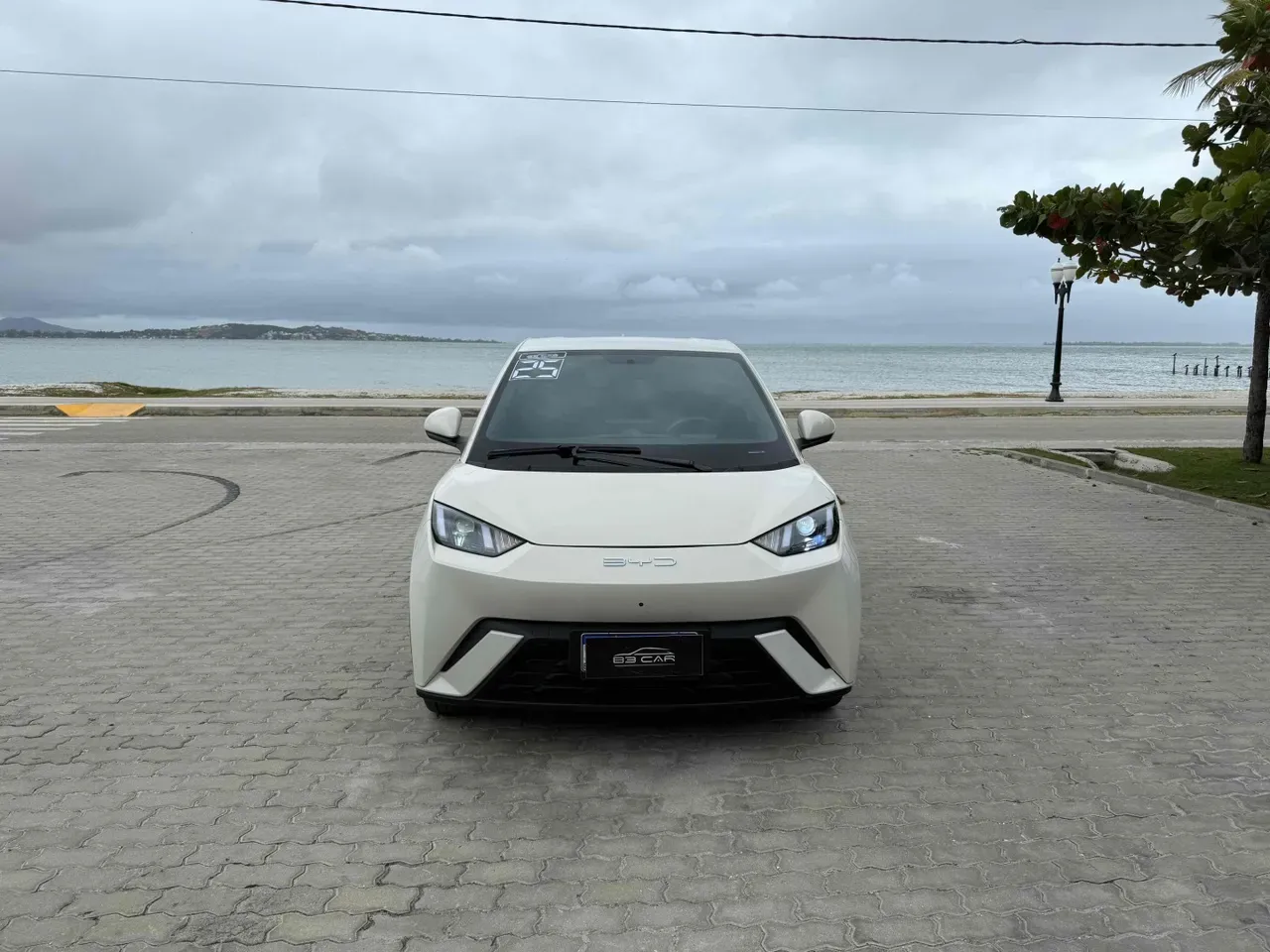 BYD Dolphin Mini - Imagem 2