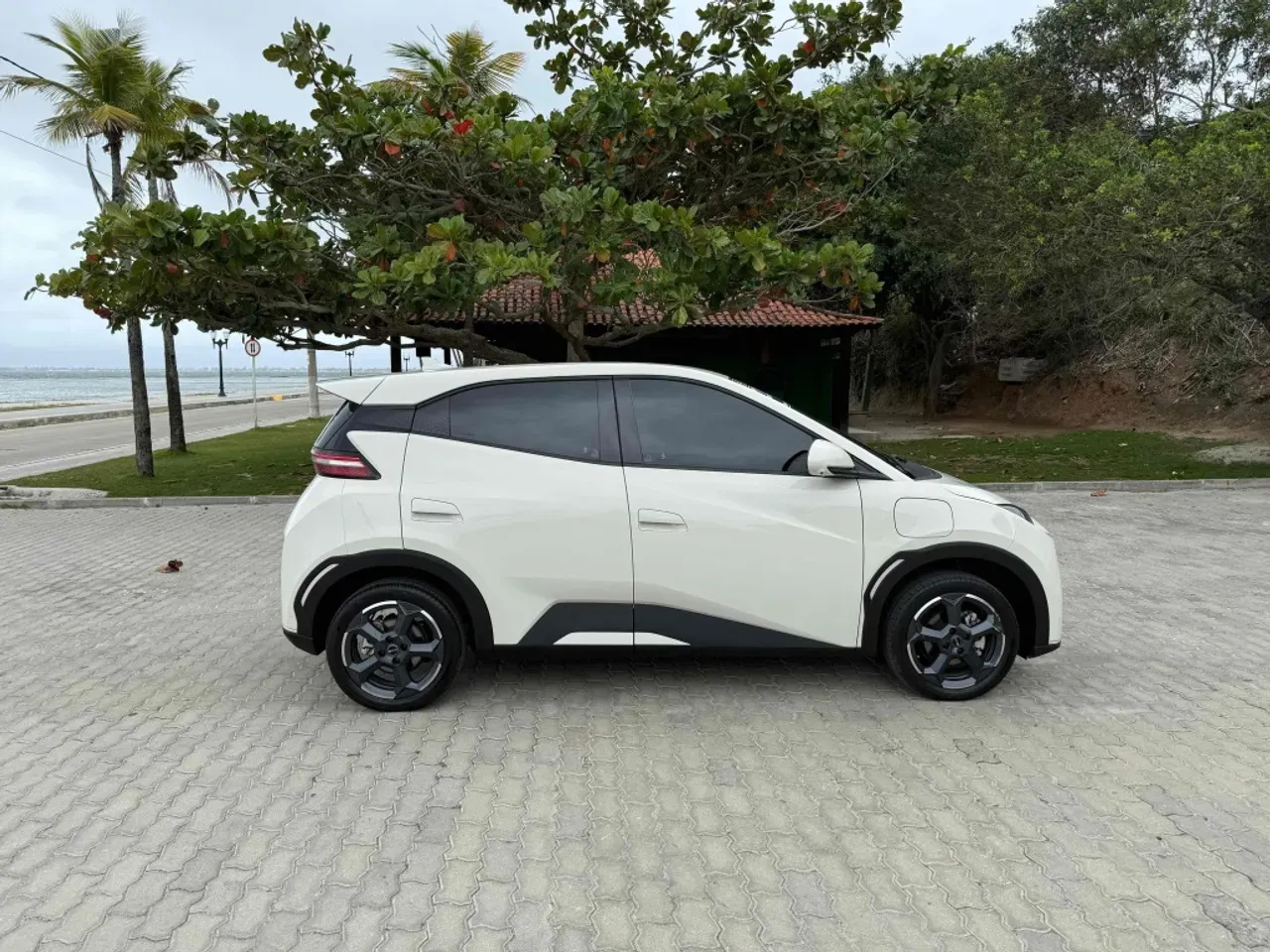 BYD Dolphin Mini - Imagem 8