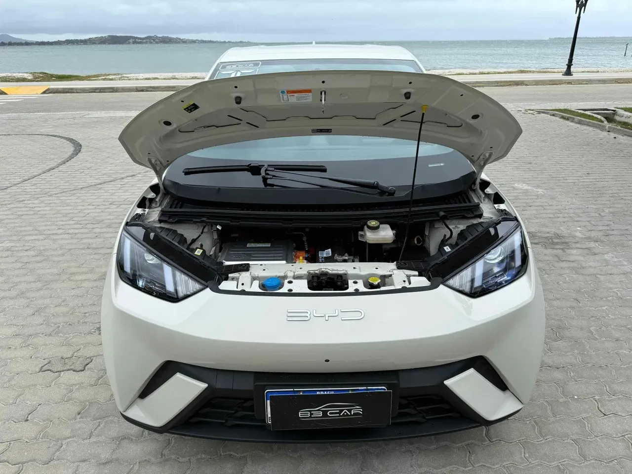 BYD Dolphin Mini - Imagem 12