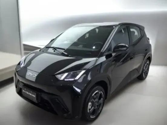 BYD Dolphin Mini - Imagem 2