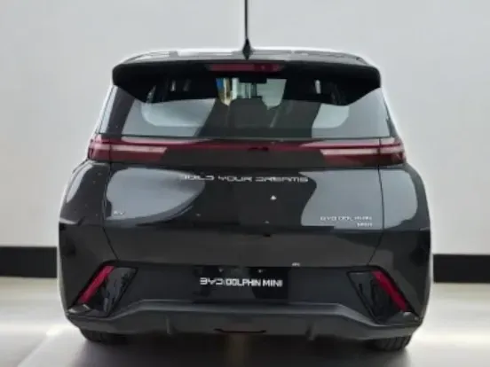 BYD Dolphin Mini - Imagem 6