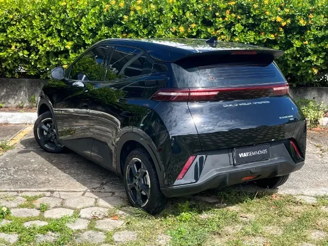 BYD Dolphin Mini - Imagem 4