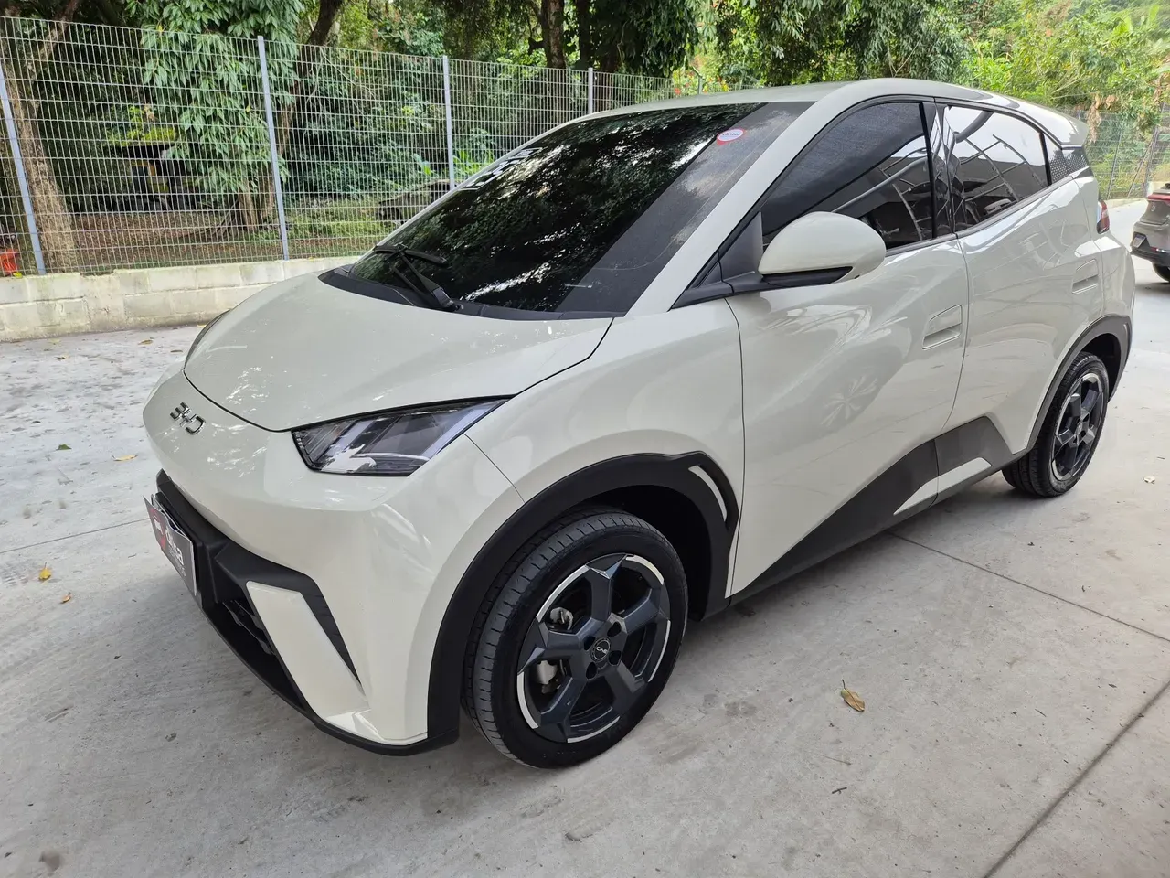 BYD Dolphin - Imagem 2