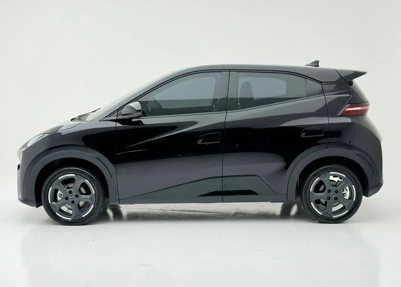 BYD Dolphin Mini - Imagem 6