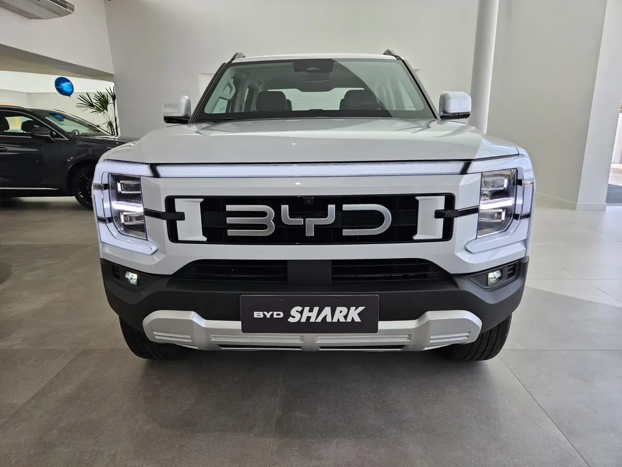 BYD Shark - Imagem 7