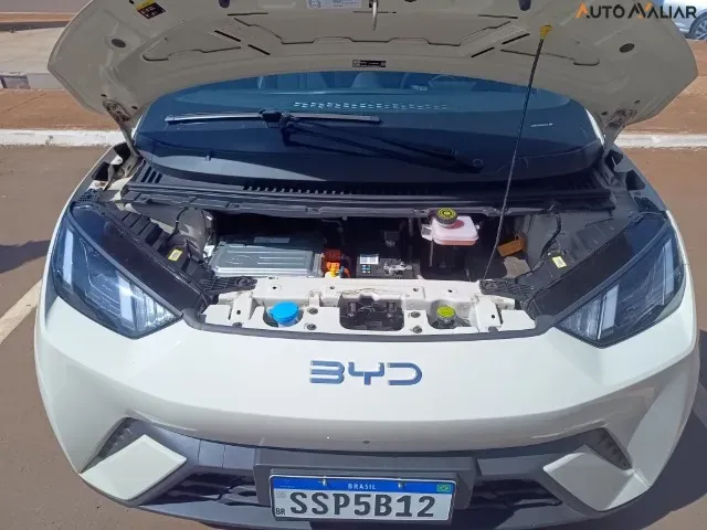 BYD Dolphin Mini - Imagem 16