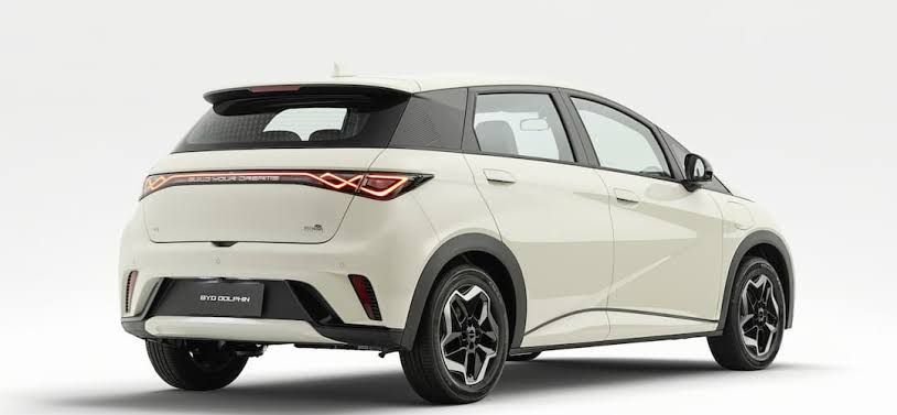 Foto de um byd dolphin