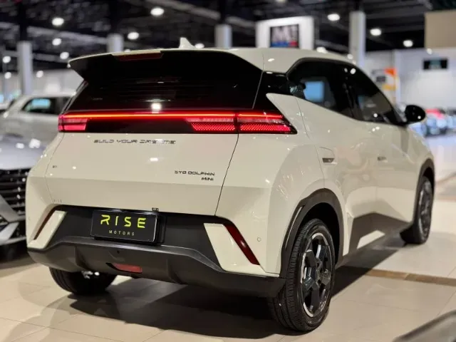 BYD Dolphin Mini - Imagem 11