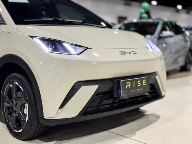 BYD Dolphin Mini - Imagem 13