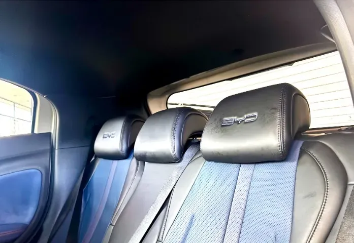 BYD Dolphin Mini - Imagem 14