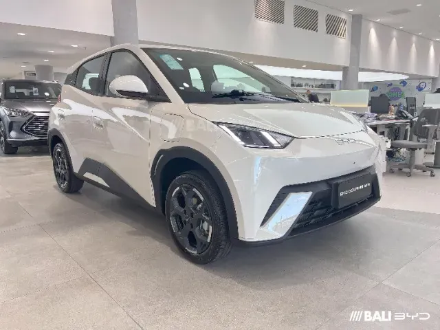 BYD Dolphin Mini - Imagem 3