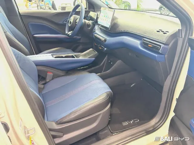 BYD Dolphin Mini - Imagem 8